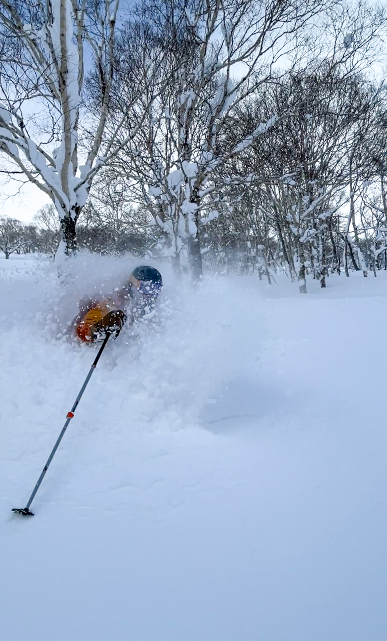 powder skiing in Japan